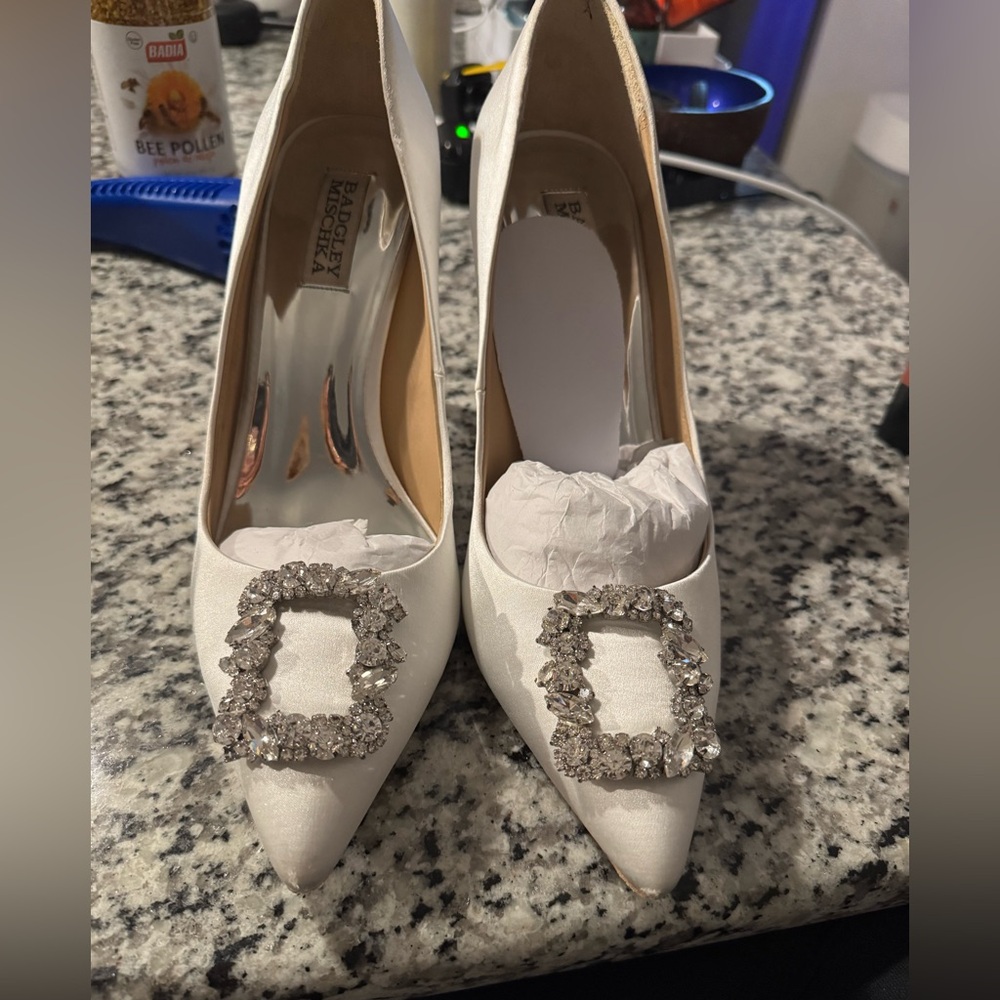 Badgley Mischka Women's Cher Pump, Soft White, 10